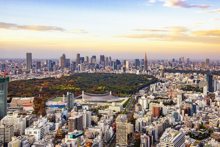 8 Hour Tokyo Tour with Licensed Guide from Yokohama - Image 1