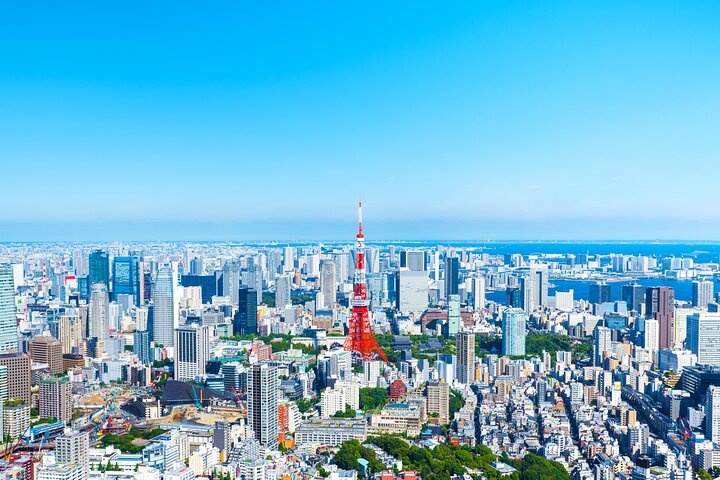 Full Day Private Shore Tour in Tokyo from Yokohama Cruise Port - Image 2