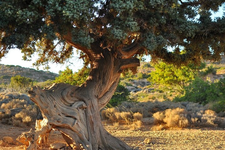 Cave of Zeus & Mountainous East Crete Adventure - Private Tour from Elounda - Image 3