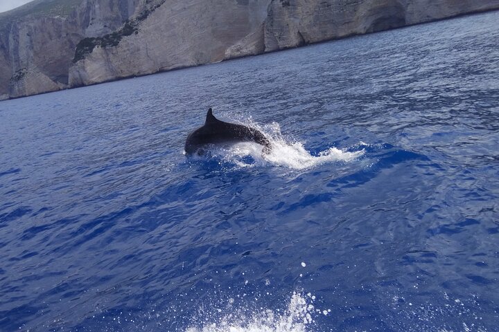 Zakynthos All Day Tour Shipwreck beach, view point-Blue Caves - Image 3