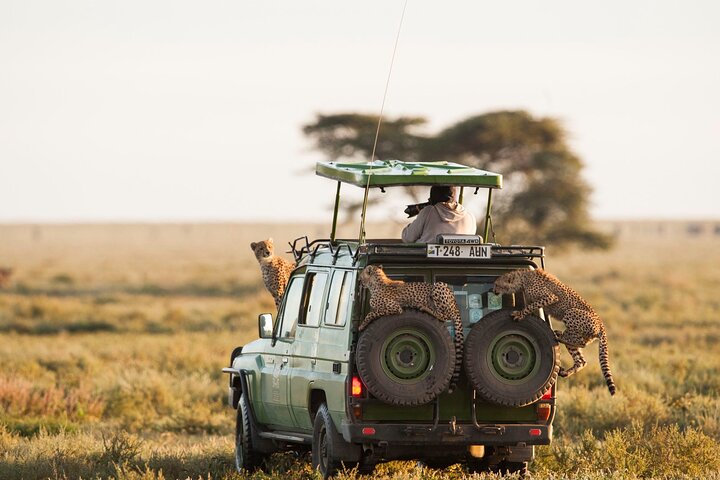 2 Days Enjoy Serengeti National Park with Balloon Safari - Image 4