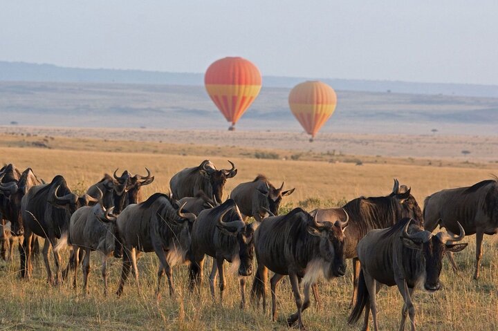 2 Days Enjoy Serengeti National Park with Balloon Safari - Image 1