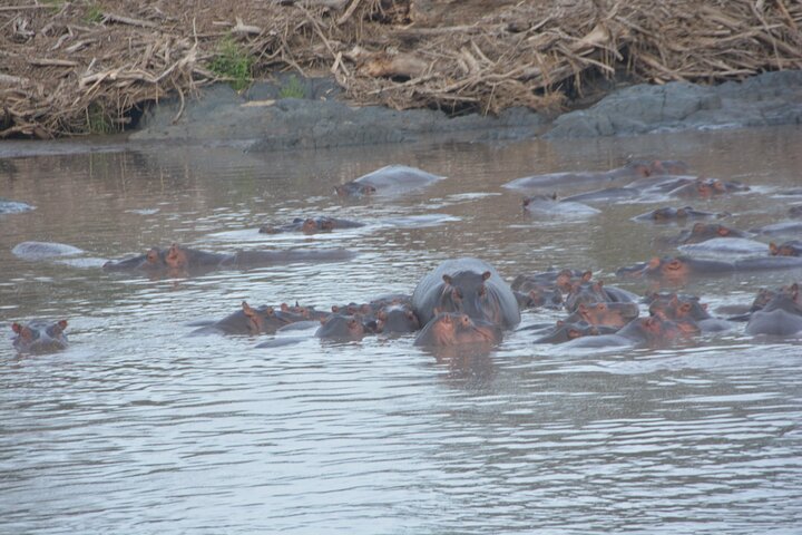 2 Days Tour From Zanzibar to Nyerere National Park (Selous GR) - Image 3