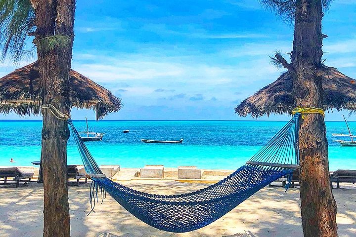 5 Day Nature itinerary for Zanzibar: Relax At Beach, Explore Forests & An Island - Image 5