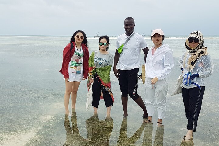 A Half Day Private Dolphins And Snorkeling Tour To Mnemba Island - Image 3