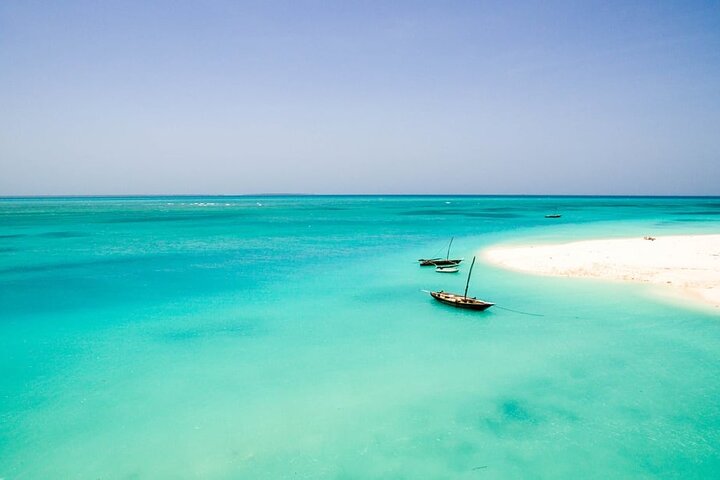 A Half Day Private Dolphins And Snorkeling Tour To Mnemba Island - Image 4