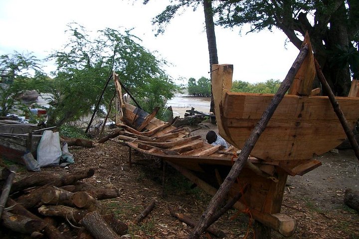 A Half Day Private Nungwi Village Tour - Image 2