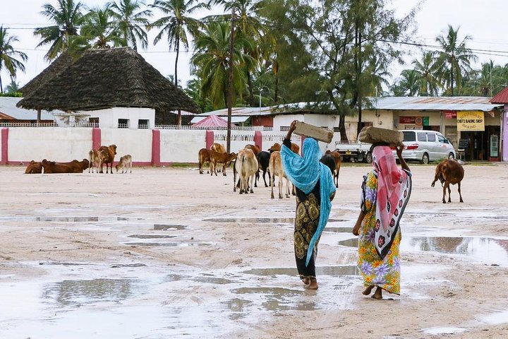 A Half Day Private Nungwi Village Tour - Image 1