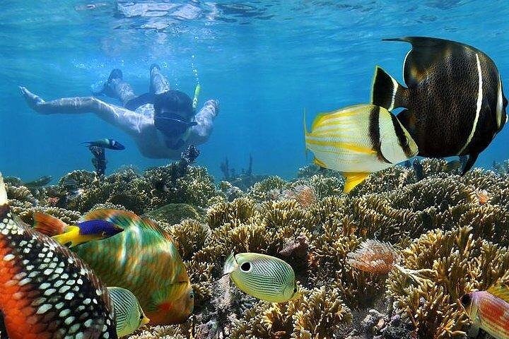 Affordable and Reliable Tours in Zanzibar Island - Image 4