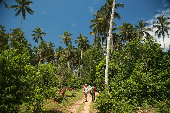 Come and taste the Zanzibar feelings - Image 3