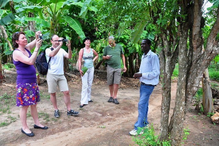 Come and taste the Zanzibar feelings - Image 2