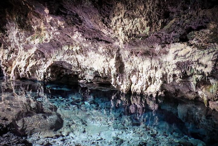 Dolphin Tour; Kuza Cave Tour; Paje Beach; The Rock Restaurant; Jozani Forest  - Image 4