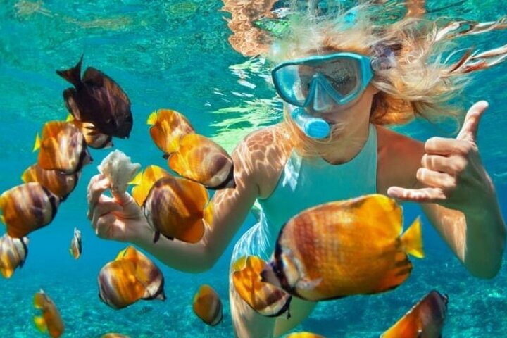 Full-Day Blue Lagoon and Sandbank Boat Tour from Zanzibar - Image 3