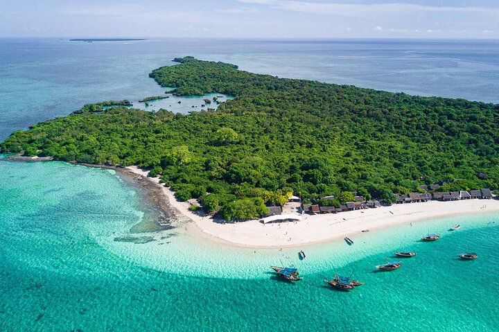 Full-Day Blue Lagoon and Sandbank Boat Tour from Zanzibar - Image 1