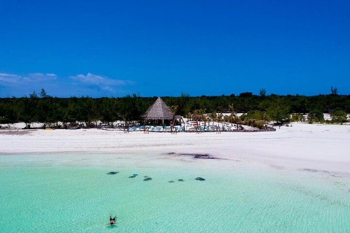 Full-Day Private Tour in Zanzibar with Jozani Forest - Image 5