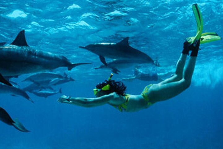 Full day Private Tour In Zanzibar With Kendwa Beach - Image 5