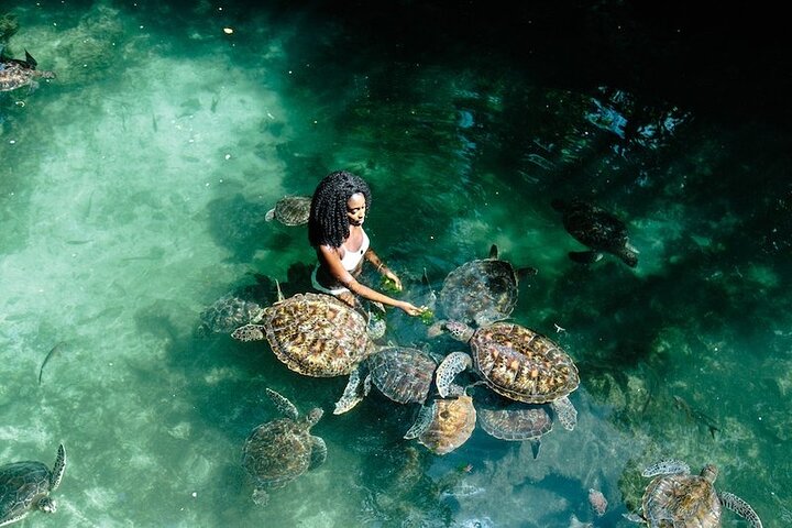 Full day Private Tour In Zanzibar With Kendwa Beach - Image 3