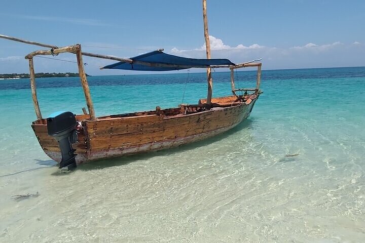 Full-Day Private Tour Safari Blue in Fumba With Lunch - Image 5