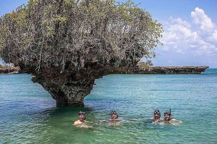Full-Day Private Tour Safari Blue in Fumba With Lunch - Image 4