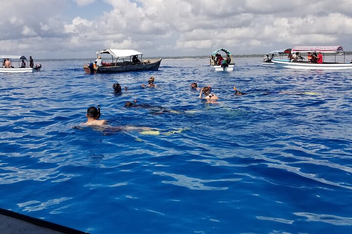 Full-Day Private Tour Safari Blue in Fumba With Lunch - Image 2
