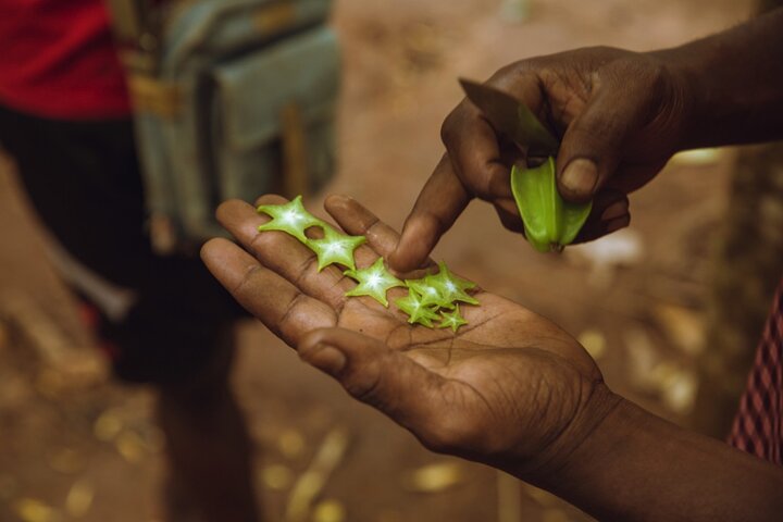 Full Day Trip to Stone Town, Spice Farms and Prison Island - Image 3