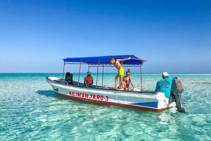 Half-day Snorkeling at Mnemba Coral Gardens - Image 2