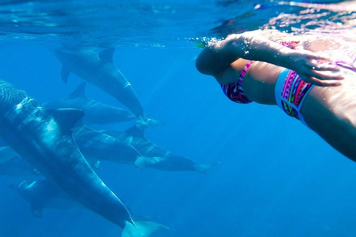 Kizimkazi Dolphin Tour - Image 4