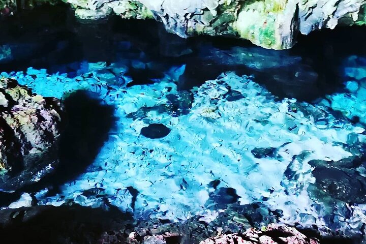 Kuza Cave Tour, Mnemba Island, Secret Garden, Spice Tour, Emerson Restaurant - Image 1