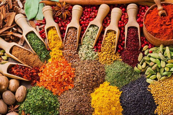 Mnemba Dolphin Tour, Cooking Class, Spice Tour, Horseback Riding - Image 5
