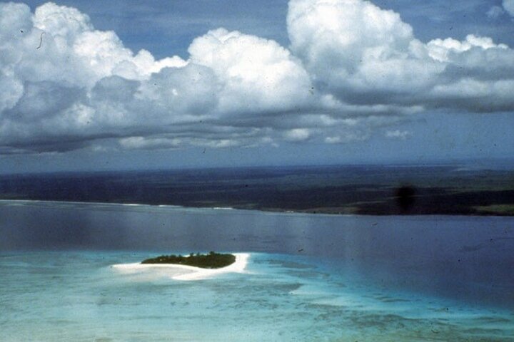 Mnemba Island Private Full Day Swim with Dolphins and Snorkeling - Image 5