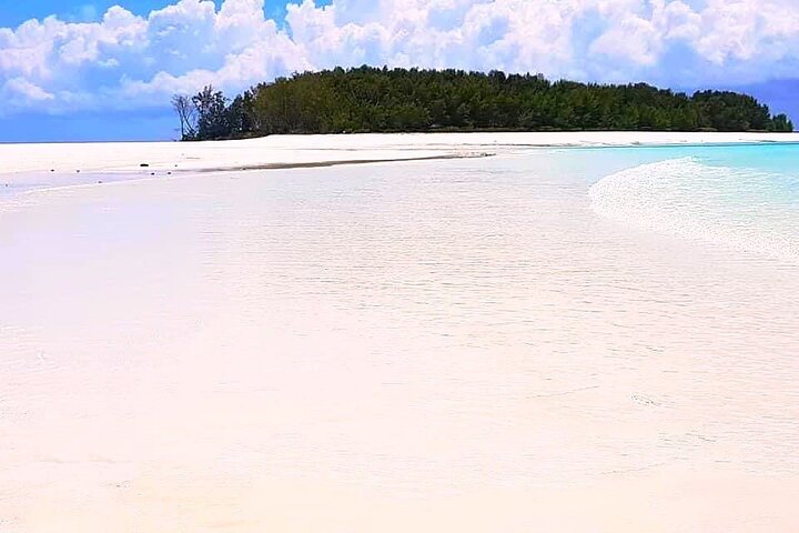 Mnemba Island; Spice Tour; Jozani Forest; Blue Lagoon; Starfish Tour; The Rock - Image 2
