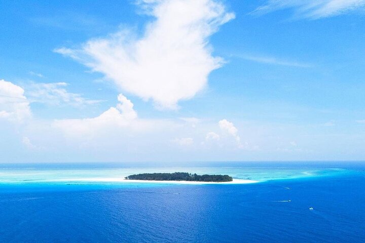 Mnemba Island; The Island Pongwe; Kuza Cave; Blue Lagoon; Starfish Tour;The Rock - Image 2