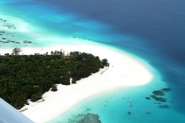 Mnemba Tour; Baraka Aquarium; Jozani Forest; Starfish Tour; BlueLagoon; The Rock - Image 2