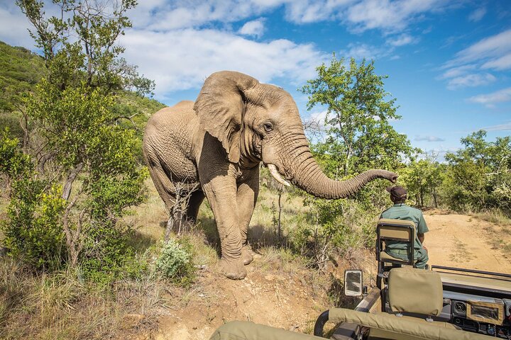 One Day Safari to Mikumi Departure from Zanzibar - Image 1