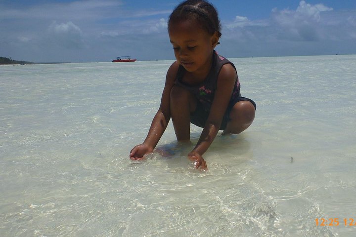 Paje Beach & Blue Lagoon Half Day Tour in Zanzibar - Image 1