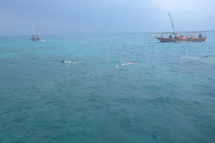 Paje Beach & Blue Lagoon Half Day Tour in Zanzibar - Image 3