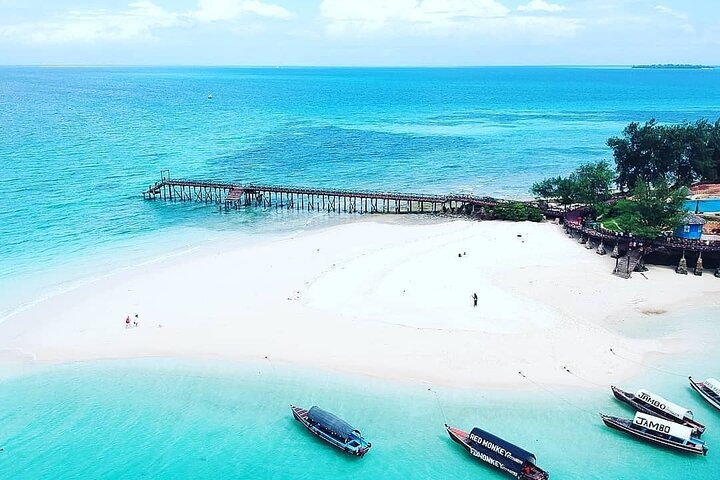 Prison Island, BlueLagoon, Starfish Tour, Rock Restaurant, Kuza Cave, Paje Beach - Image 3