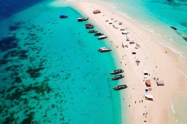 Prison Island Private Tour Zanzibar - Image 2