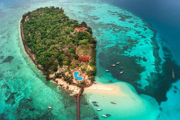 Prison Island Private Tour Zanzibar - Image 4