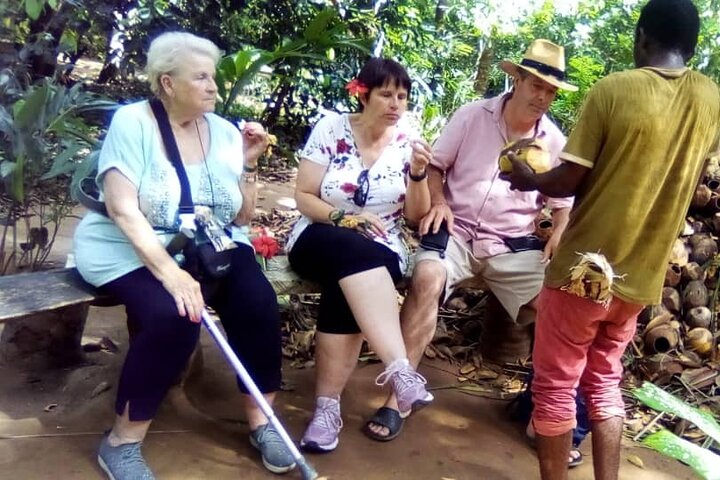 Private Full Day Trip to Stone Town, Spice Farms and Jozani Forest - Image 3