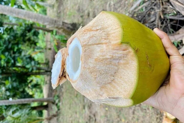 Private Full Day Trip to Stone Town, Spice Farms and Jozani Forest - Image 4
