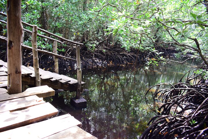 Private Tour in Jozani Forest with pick up  - Image 5