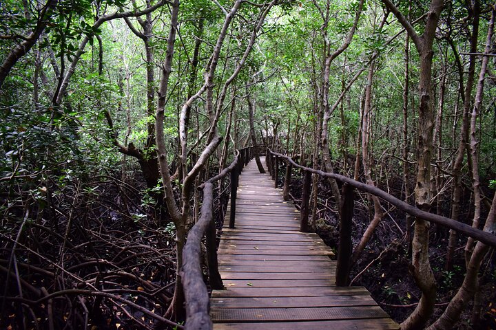 Private Tour in Jozani Forest with pick up  - Image 3