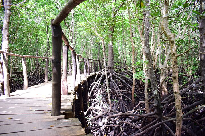Private Tour in Jozani Forest with pick up  - Image 2