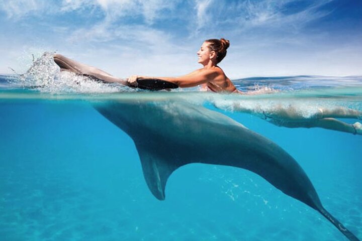 Private Tour Jozani Forest, Dolphin Watching and Kuza Cave - Image 1