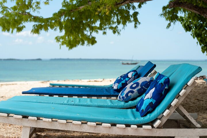 Safari Blue Experience - Unforgettable Day Out At Kwale Island - Image 5