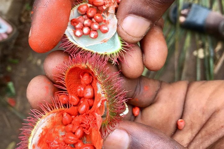 Spice Tour, Blue Lagoon, Starfish Tour, Rock Restaurant, Kuza Cave, Paje Beach - Image 1
