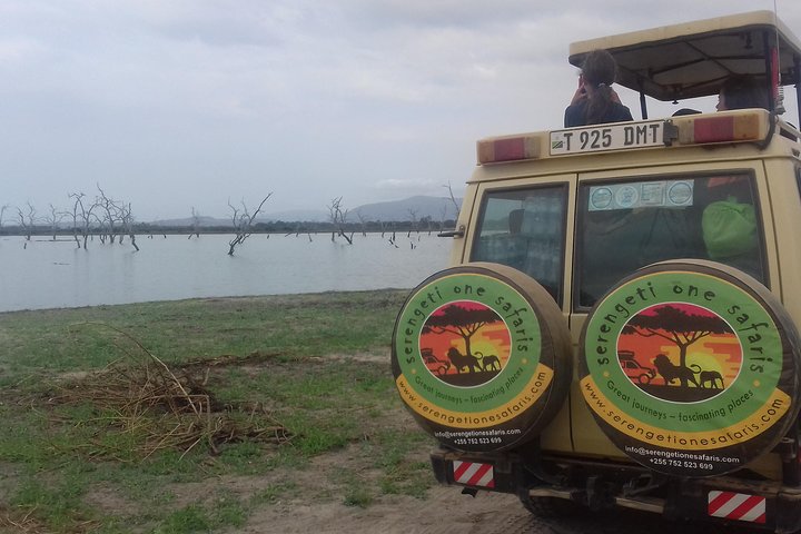 Tanzania Trip Amazing Tarangire Ngorongoro and Manyara - Image 4