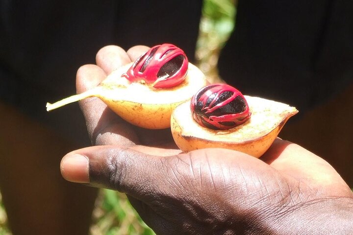 Zanzibar Cooking Class [Swahili food test ] and Spice farm Private tour - Image 5