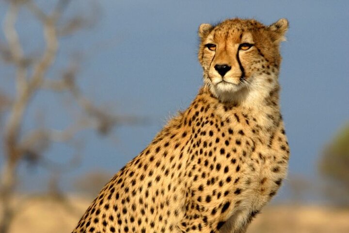 Zanzibar Excursions - Image 5